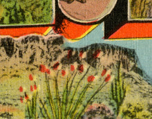 Load image into Gallery viewer, The Great SOUTHWEST Vintage Postcard POSTER! (up to 24 x 36) - Large Letter - Travel - Desert