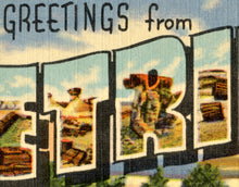 Load image into Gallery viewer, PETRIFIED FOREST Arizona Vintage POSTER! (up to 24" x 36") - National Parks - Landmarks - Nature - Backpacking - Travel - United States