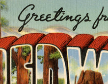 Load image into Gallery viewer, Redwoods of California Vintage Postcard POSTER! (up to 24" x 36") - Antique - Travel