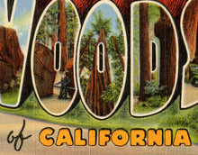 Load image into Gallery viewer, Redwoods of California Vintage Postcard POSTER! (up to 24" x 36") - Antique - Travel