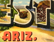 Load image into Gallery viewer, PETRIFIED FOREST Arizona Vintage POSTER! (up to 24" x 36") - National Parks - Landmarks - Nature - Backpacking - Travel - United States