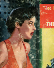 Load image into Gallery viewer, 1957 Science Fiction Book POSTER! (up to 24" x 36") - Robot Falconer - Birds of Prey - Laser - Gun - SciFi