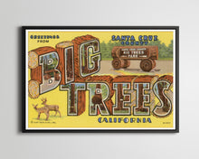 Load image into Gallery viewer, Big Trees "Large Letter" Postcard POSTER! (up to 24 x 36) - Santa Cruz County - California