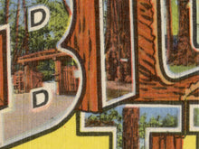 Load image into Gallery viewer, Big Trees "Large Letter" Postcard POSTER! (up to 24 x 36) - Santa Cruz County - California
