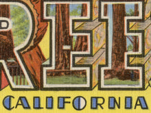 Load image into Gallery viewer, Big Trees "Large Letter" Postcard POSTER! (up to 24 x 36) - Santa Cruz County - California