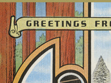 Load image into Gallery viewer, CALIFORNIA Redwoods "Large Letter" Postcard POSTER! - Sequoia National Park