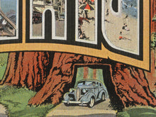 Load image into Gallery viewer, CALIFORNIA Redwoods "Large Letter" Postcard POSTER! - Sequoia National Park