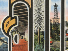 Load image into Gallery viewer, CALIFORNIA Redwoods "Large Letter" Postcard POSTER! - Sequoia National Park