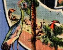 Load image into Gallery viewer, Vintage CATALINA ISLAND Large Letter Postcard POSTER! (up to 24x36) - Antique - California