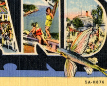 Load image into Gallery viewer, Vintage CATALINA ISLAND Large Letter Postcard POSTER! (up to 24x36) - Antique - California