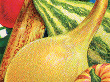 Load image into Gallery viewer, Vintage Kitchen Decoration POSTER! (up to 24" x 36") - Gourds - Pumpkins - Seed - Farmhouse - Farm - Pop Art