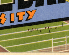 Load image into Gallery viewer, NOTRE DAME University Large Letter Postcard POSTER! (up to full-size 24" x 36") - Greetings - Fighting Irish - Football - College - Indiana