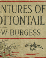 Load image into Gallery viewer, 1914 Peter Cottontail Children's Book POSTER! - Vintage - Thornton W. Burgess - Reading