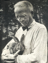 Load image into Gallery viewer, 1914 Peter Cottontail Children's Book POSTER! - Vintage - Thornton W. Burgess - Reading