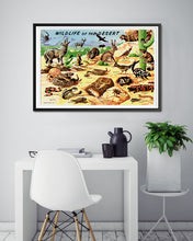 Load image into Gallery viewer, 1958 Wildlife of the Desert POSTER! (24" x 36" or Smaller) - Vintage Postcard - Southwest
