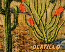 Load image into Gallery viewer, 1946 Cacti of the Old Southwest POSTER! - Cactus - Vintage Postcard - Joshua Tree - Mezcal - Cholla - Desert - Art