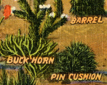 Load image into Gallery viewer, 1946 Cacti of the Old Southwest POSTER! - Cactus - Vintage Postcard - Joshua Tree - Mezcal - Cholla - Desert - Art