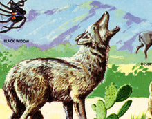 Load image into Gallery viewer, 1958 Wildlife of the Desert POSTER! (24" x 36" or Smaller) - Vintage Postcard - Southwest