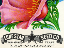 Load image into Gallery viewer, Vintage California Poppy Seed Packet POSTER! (up to 24" x 36") - Flowers - Decoration - Garden - Pop Art - Kitchen - Floral - Antique Sign