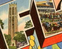 Load image into Gallery viewer, Vintage FLORIDA Postcard POSTER! (up to 24" x 36") - Vintage Travel - United States - Tallahassee - Orange Blossom - Southern USA - States