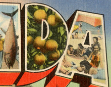 Load image into Gallery viewer, Vintage FLORIDA Postcard POSTER! (up to 24" x 36") - Vintage Travel - United States - Tallahassee - Orange Blossom - Southern USA - States