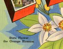 Load image into Gallery viewer, Vintage FLORIDA Postcard POSTER! (up to 24" x 36") - Vintage Travel - United States - Tallahassee - Orange Blossom - Southern USA - States
