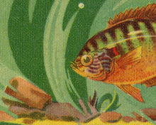 Load image into Gallery viewer, 1939 Freshwater FISH Guide POSTER! (up to 24"x36") - Fishing - Fisherman - Bass - Trout