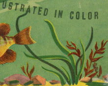 Load image into Gallery viewer, 1939 Freshwater FISH Guide POSTER! (up to 24"x36") - Fishing - Fisherman - Bass - Trout