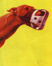 Load image into Gallery viewer, 1964 GREYHOUND Racing Program Cover POSTER! (24" x 36" or Smaller) - Juarez Mexico - Dogs - Race - Vintage - Decoration - Silks - Sports