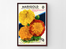 Load image into Gallery viewer, Vintage Flower Seed Packet POSTER! (up to 24" x 36") - Flowers - Marigolds - Decoration - Farmhouse - Farm - Garden - Pop Art - Kitchen