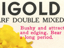 Load image into Gallery viewer, Vintage Flower Seed Packet POSTER! (up to 24" x 36") - Flowers - Marigolds - Decoration - Farmhouse - Farm - Garden - Pop Art - Kitchen