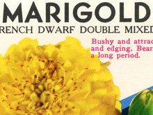Load image into Gallery viewer, Vintage Flower Seed Packet POSTER! (up to 24" x 36") - Flowers - Marigolds - Decoration - Farmhouse - Farm - Garden - Pop Art - Kitchen