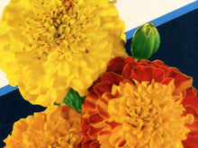 Load image into Gallery viewer, Vintage Flower Seed Packet POSTER! (up to 24" x 36") - Flowers - Marigolds - Decoration - Farmhouse - Farm - Garden - Pop Art - Kitchen