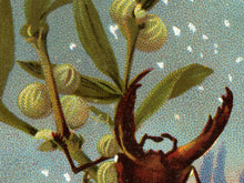 Load image into Gallery viewer, Victorian Christmas Card POSTER! - up to 24" x 36" - New Year - Beetle - Bugs - Macabre - Holidays - Xmas - Gifts - Unusual - Insects - Art