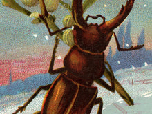 Load image into Gallery viewer, Victorian Christmas Card POSTER! - up to 24" x 36" - New Year - Beetle - Bugs - Macabre - Holidays - Xmas - Gifts - Unusual - Insects - Art