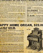 Load image into Gallery viewer, 1902 ORGAN Catalog Page POSTER! (24" x 36" or smaller) - Sears, Roebuck, & Co. - Vintage - Steampunk - Victorian - Catalogue - Music Room