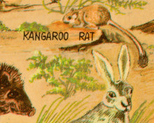 Load image into Gallery viewer, 1930's Desert Wildlife POSTER! (24" x 36" or Smaller) - Vintage Postcard - Southwest - Animals - Cactus - Roadrunner - National Parks