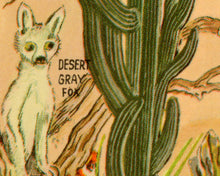 Load image into Gallery viewer, 1930's Desert Wildlife POSTER! (24" x 36" or Smaller) - Vintage Postcard - Southwest - Animals - Cactus - Roadrunner - National Parks