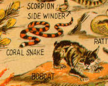 Load image into Gallery viewer, 1930's Desert Wildlife POSTER! (24" x 36" or Smaller) - Vintage Postcard - Southwest - Animals - Cactus - Roadrunner - National Parks