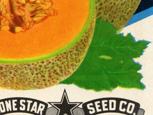 Load image into Gallery viewer, Cantaloupe Seed Packet POSTER! (up to 24&quot; x 36&quot;) - Kitchen - Fruit - Garden
