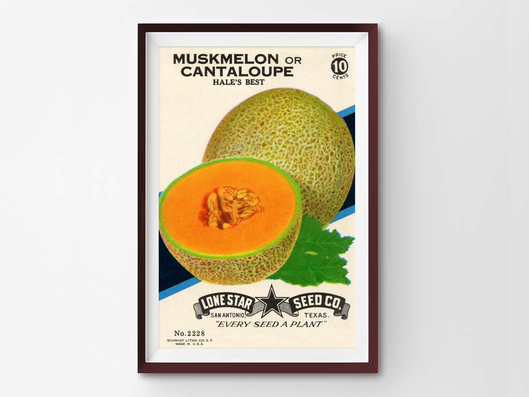 Cantaloupe Seed Packet POSTER! (up to 24