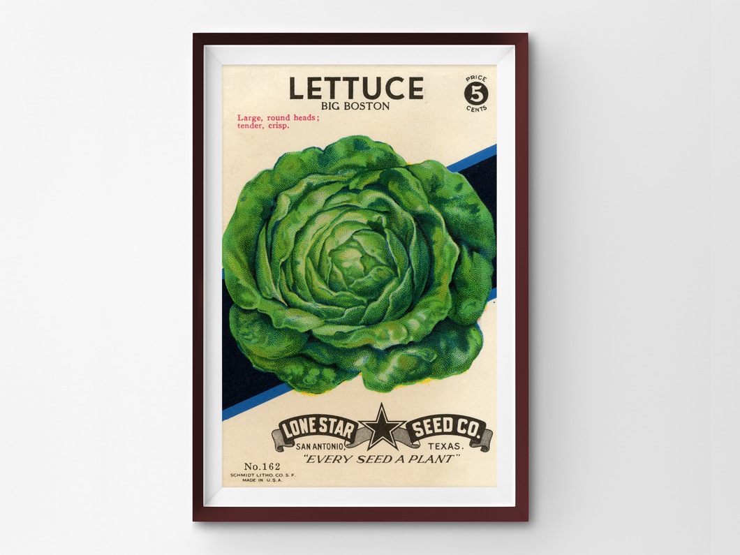 Vintage Lettuce Seed Packet POSTER! (up to 24