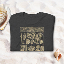 Load image into Gallery viewer, Vintage Marine Biology T-Shirt – Mollusks &amp; Sea Life Science Illustration – Ocean Animals Shirt – Seashells
