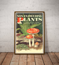 Load image into Gallery viewer, Vintage Mushroom &amp; Fern Poster – Non-Flowering Plants Botanical Print (Ferns, Mosses, Lichens, Fungi) – 1967
