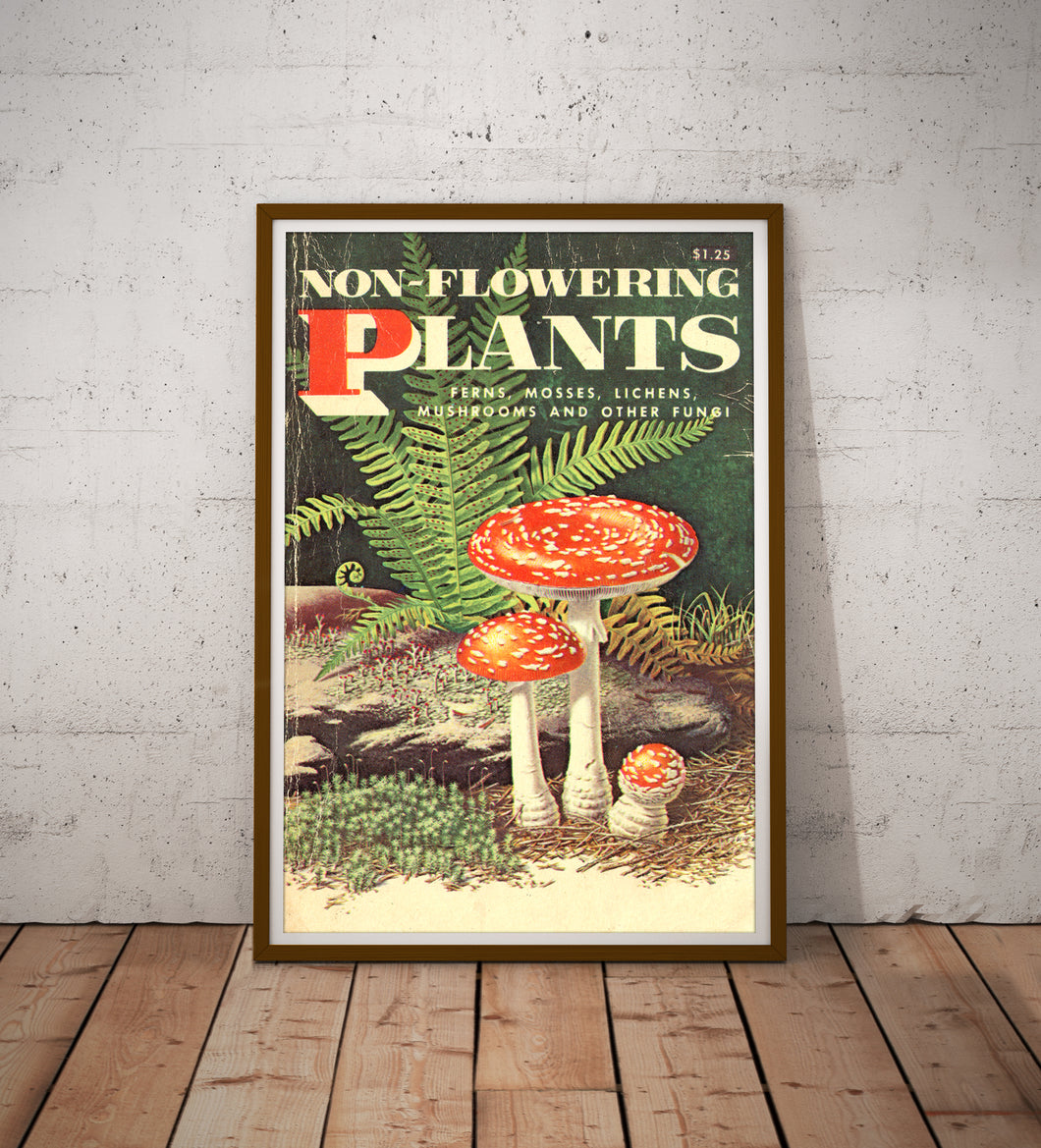 Vintage Mushroom & Fern Poster – Non-Flowering Plants Botanical Print (Ferns, Mosses, Lichens, Fungi) – 1967