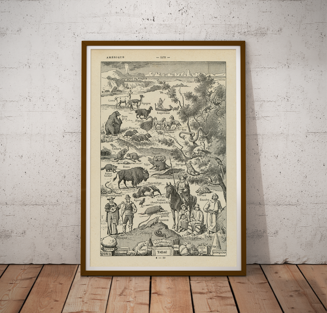 The Americas Illustrations Poster - Vintage French Dictionary Print