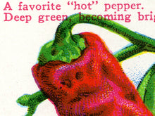 Load image into Gallery viewer, Cayenne Pepper Vintage Seed Packet POSTER! (up to 24&quot; x 36&quot;) - Kitchen - Vegetables - Garden
