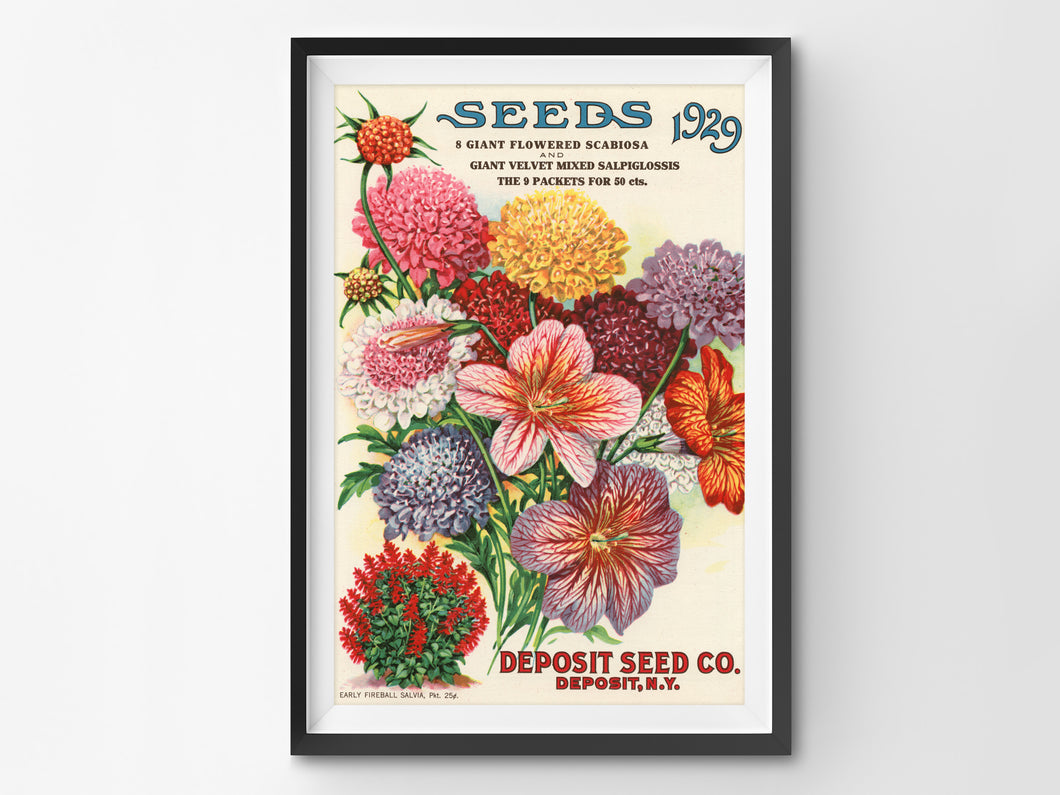 1929 Seed Catalogue Back Cover POSTER! (up to 24