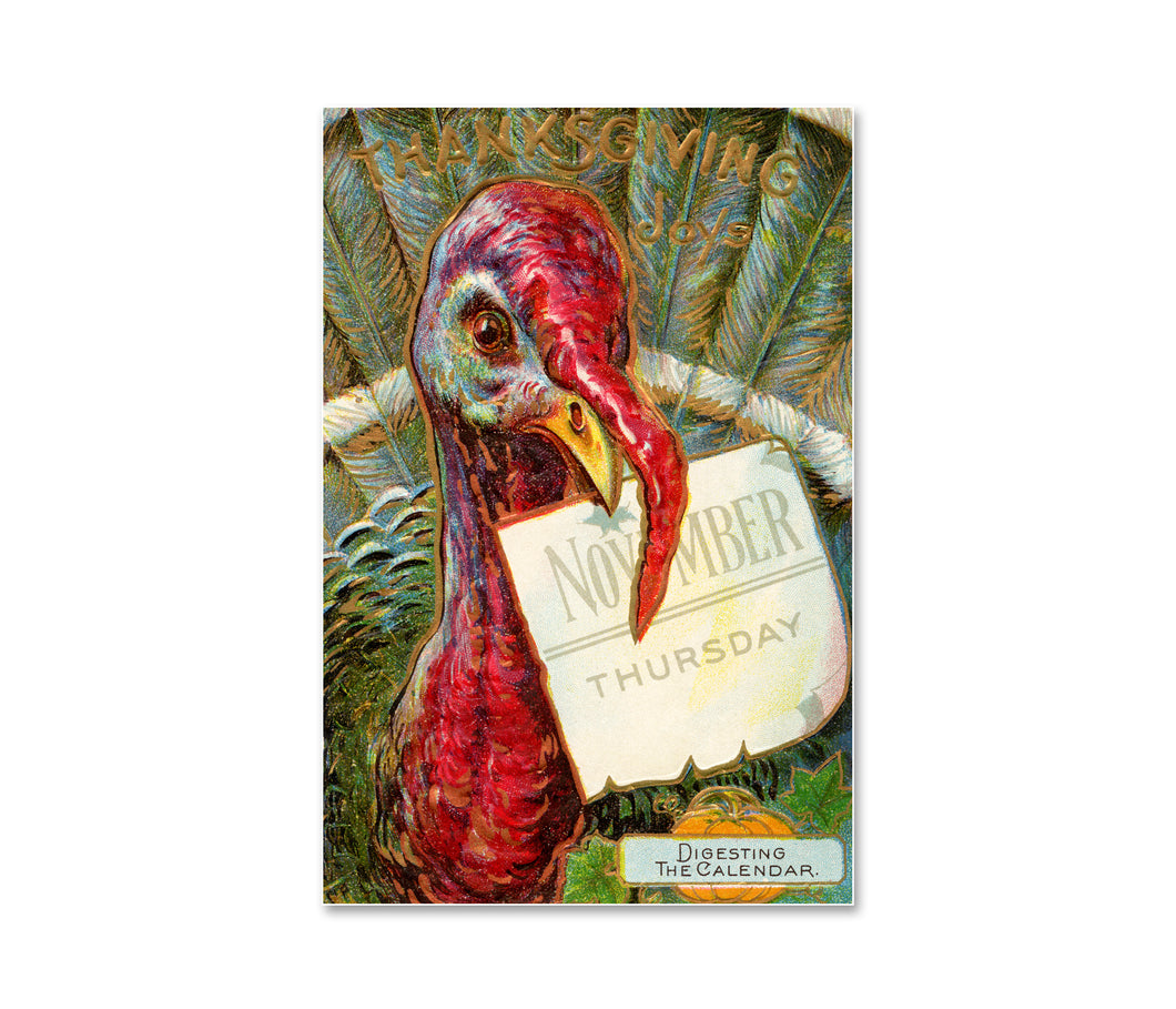 Vintage 1909 Thanksgiving Turkey Poster – “Digesting the Calendar” – 1909 Holiday Harvest Postcard Art Print