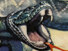 Load image into Gallery viewer, Vintage Style Rattlesnake Poster - 1939 Western Magazine Print - Southwest - Snake
